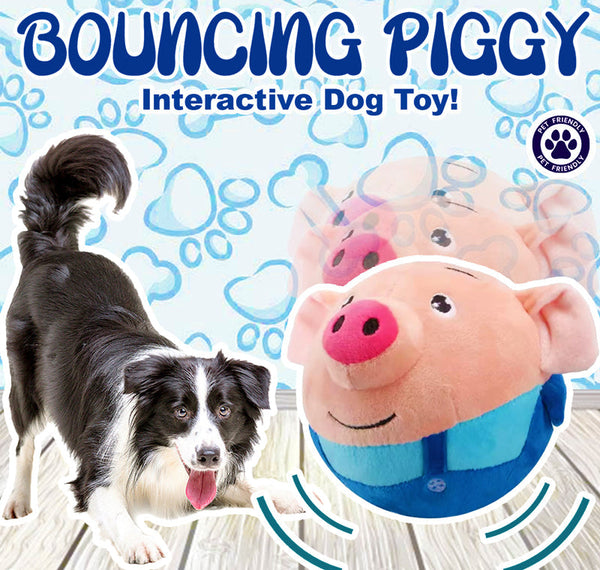 Happy Paws Bouncing Buddy