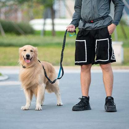 Hands-Free Dog Running Leash Adjustable