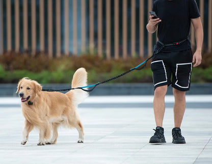 Hands-Free Dog Running Leash Adjustable