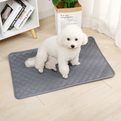 DogPad Pee Blanket Reusable
