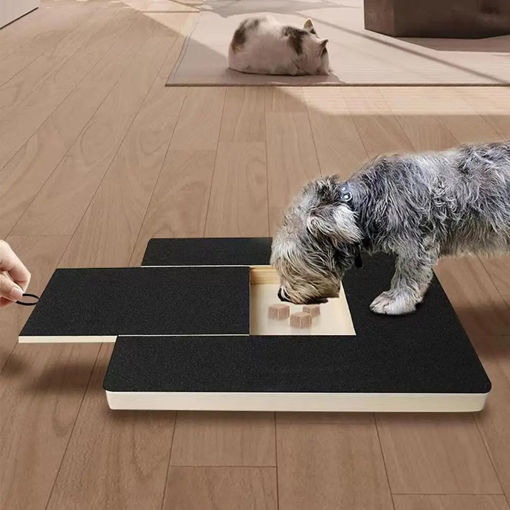Paw-Friendly Nail Scratch Board with Built-in Treat Box