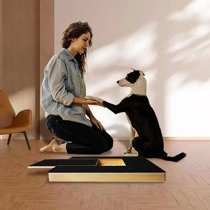 Paw-Friendly Nail Scratch Board with Built-in Treat Box