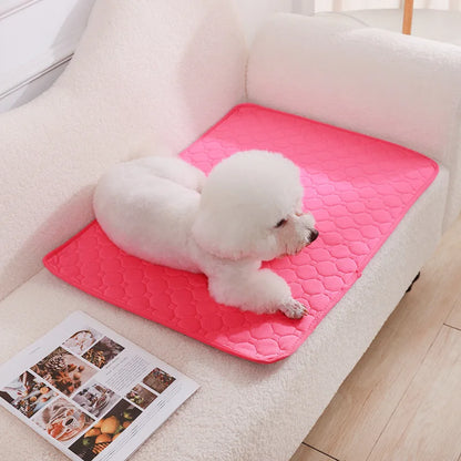 DogPad Pee Blanket Reusable
