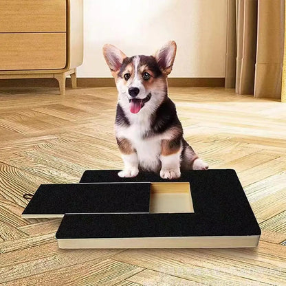 Paw-Friendly Nail Scratch Board with Built-in Treat Box