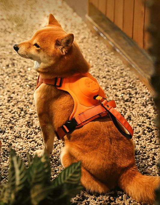 Retractable Dog Collar Harness