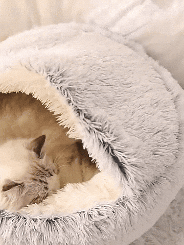 CozyCat Snuggle Nest bed