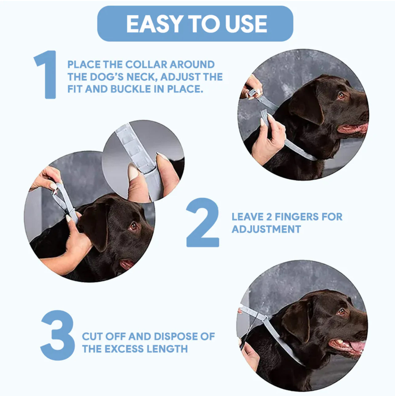 Flea & Tick Defense Collar for Dogs & Cats