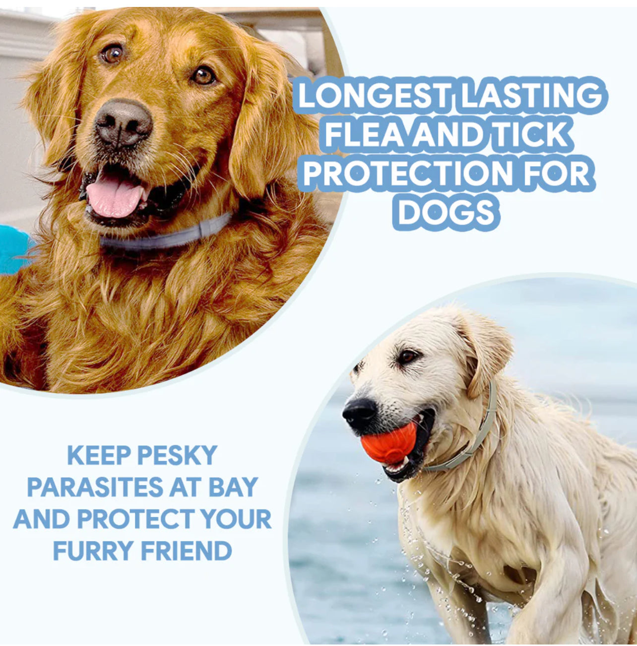 Flea & Tick Defense Collar for Dogs & Cats