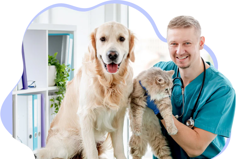 Calming Pet Diffuser