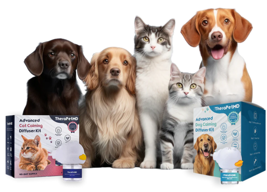 Calming Pet Diffuser