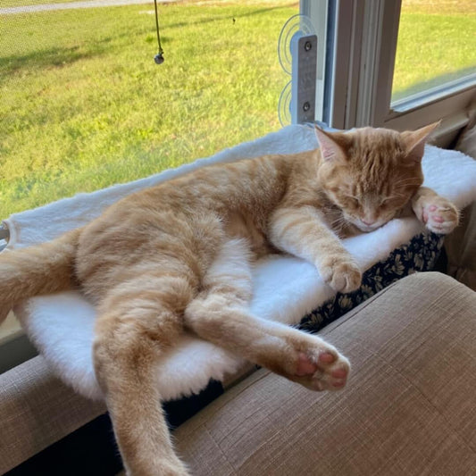 CozyCat Window Lounger